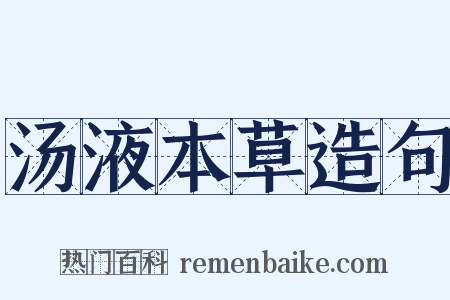 汤液本草造句是什么意思的图片